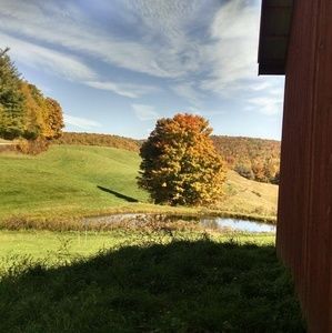 Meet your Posher, Vicki